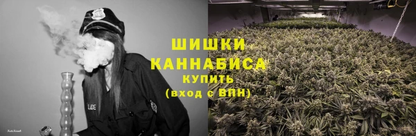 винт Бородино