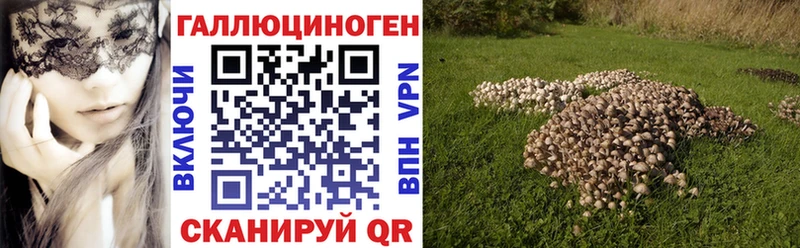 Псилоцибиновые грибы Psilocybe  Горняк 