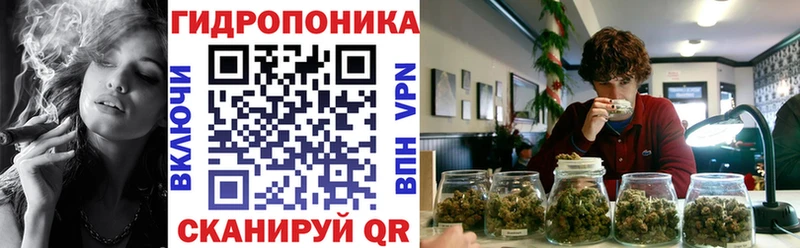 Конопля White Widow  Горняк 